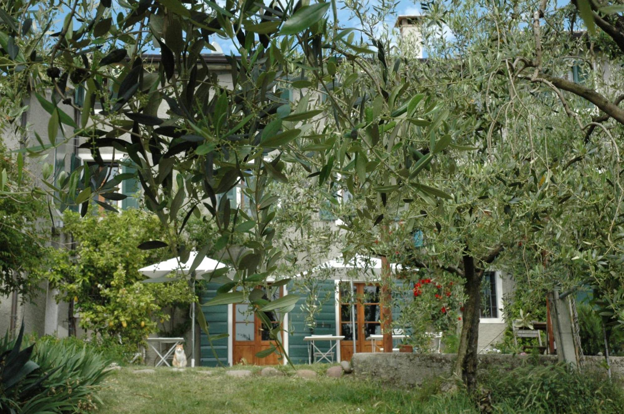 Agriturismo Tenuta La Pergola Μπαρντολίνο Εξωτερικό φωτογραφία