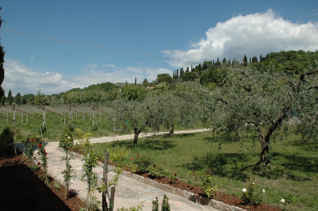 Agriturismo Tenuta La Pergola Μπαρντολίνο Εξωτερικό φωτογραφία