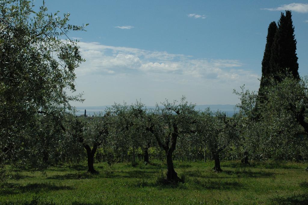 Agriturismo Tenuta La Pergola Μπαρντολίνο Εξωτερικό φωτογραφία