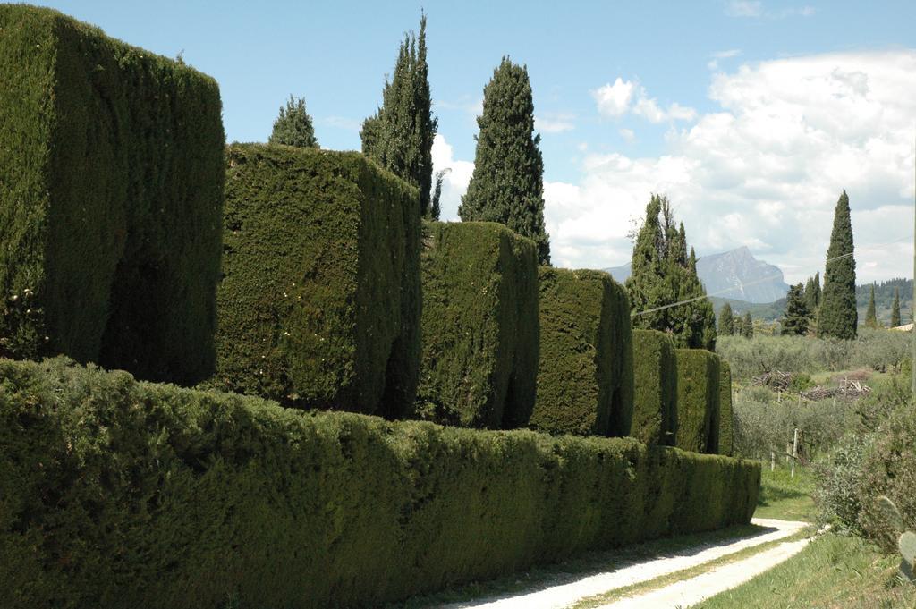 Agriturismo Tenuta La Pergola Μπαρντολίνο Εξωτερικό φωτογραφία