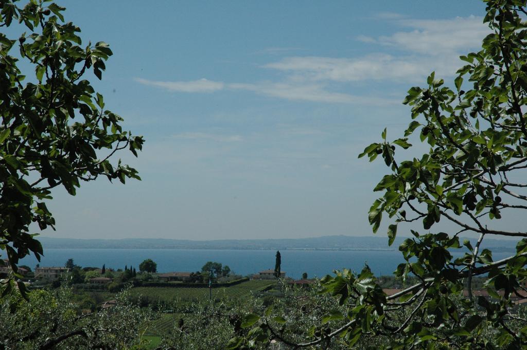 Agriturismo Tenuta La Pergola Μπαρντολίνο Εξωτερικό φωτογραφία