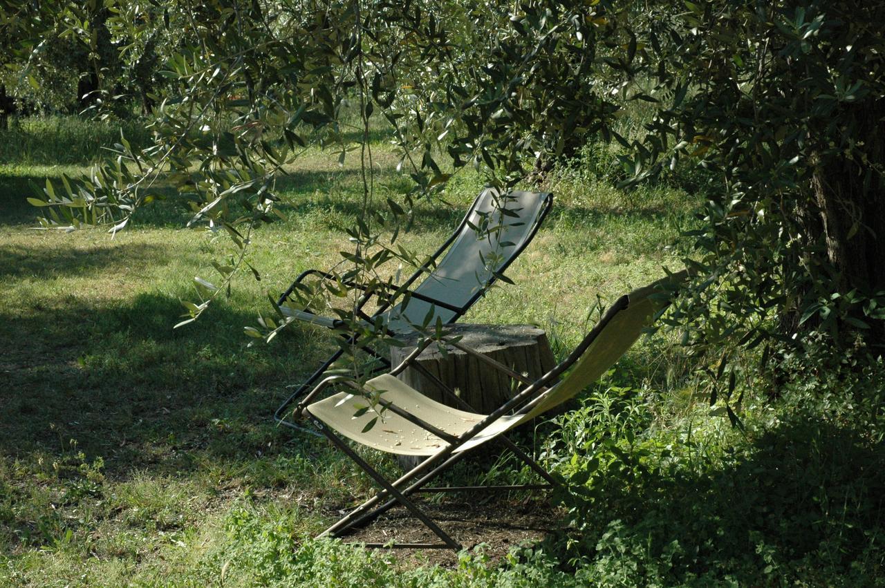 Agriturismo Tenuta La Pergola Μπαρντολίνο Εξωτερικό φωτογραφία