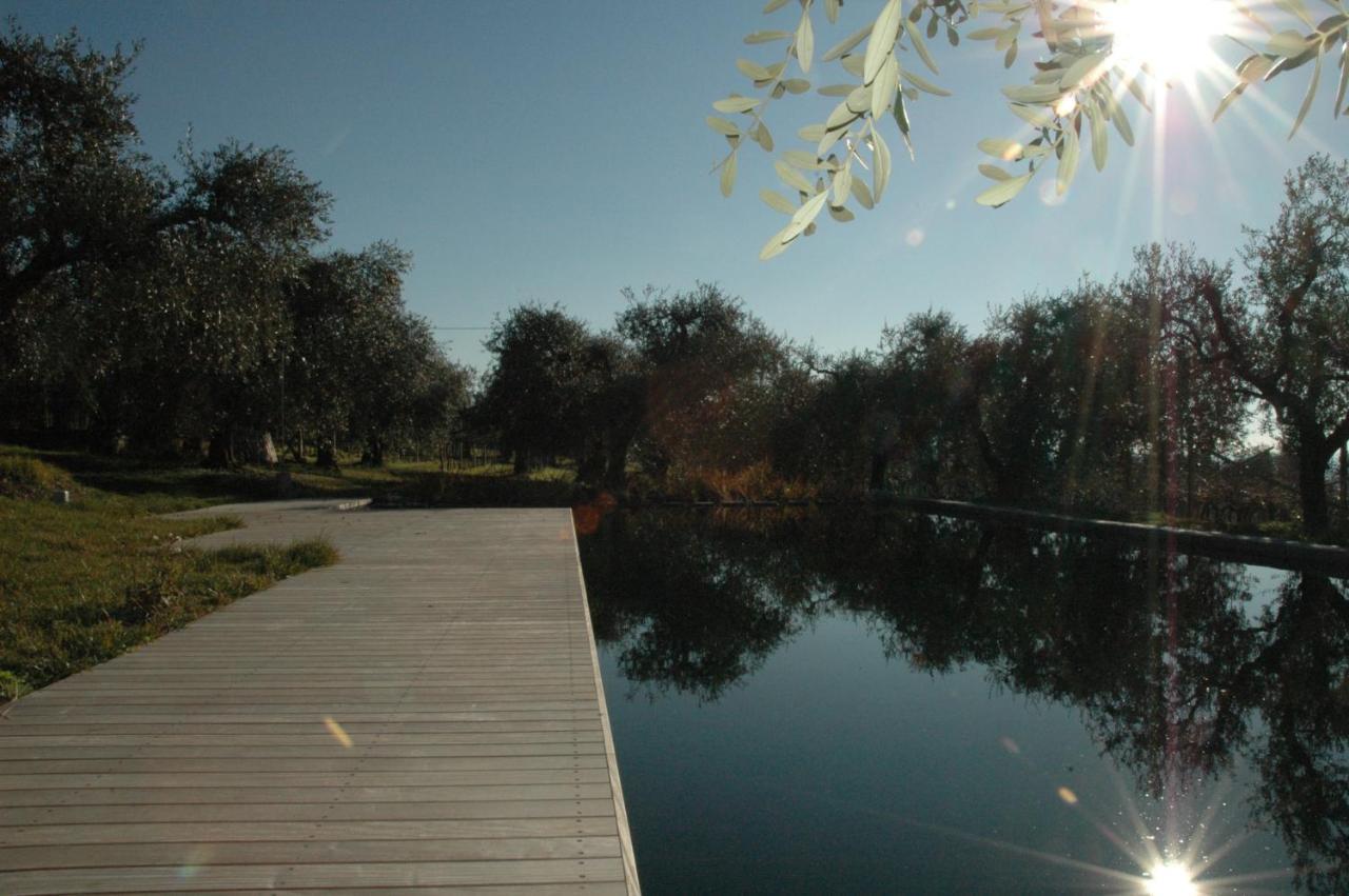Agriturismo Tenuta La Pergola Μπαρντολίνο Εξωτερικό φωτογραφία