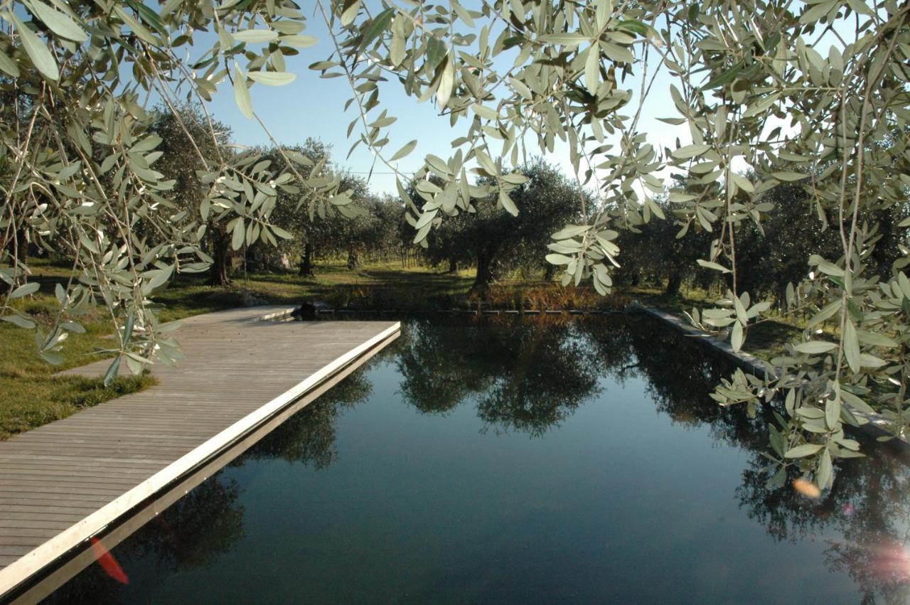 Agriturismo Tenuta La Pergola Μπαρντολίνο Εξωτερικό φωτογραφία